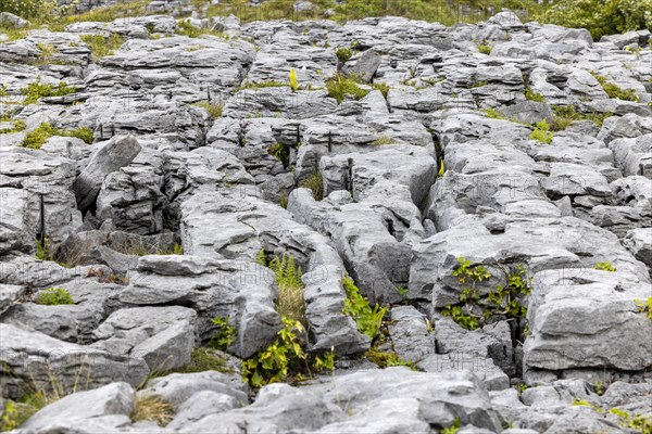 Barrows and gullies