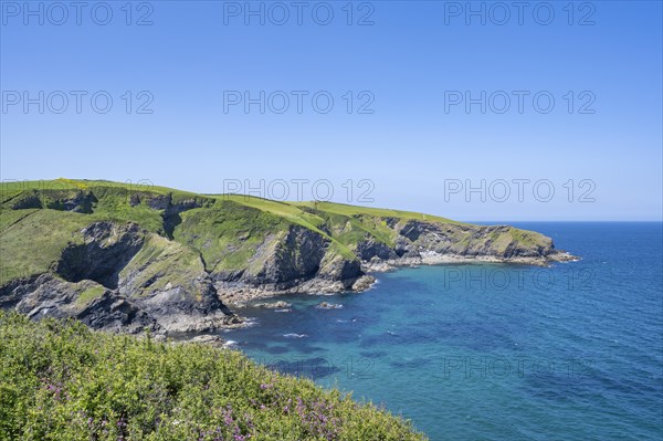 Rugged coastline near Port Isaac