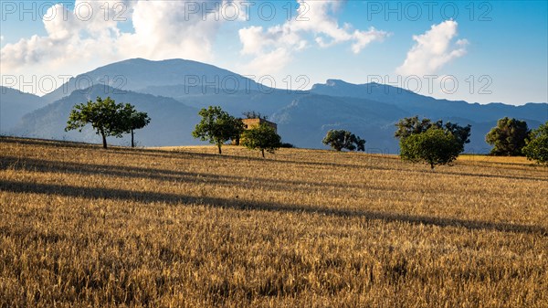 View over meadow to Tramuntana mountains