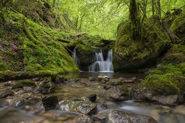 Waterfall in the UNESCO World Heritage Beech Forest in the Limestone Alps National Park