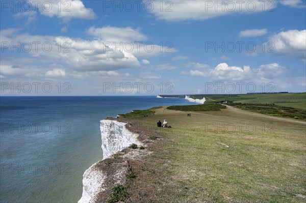 Chalk cliffs at Beachy Head