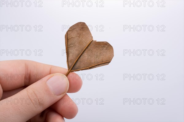 Heart shape cut leaf in hand found on a background full of straws