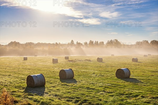 Hay bales on a field with autumn fog and sunshine in the countryside