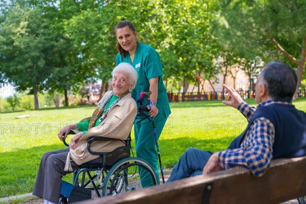 An elderly woman with the nurse on a walk in the garden of a nursing home in a wheelchair in nature and greeting an elderly man