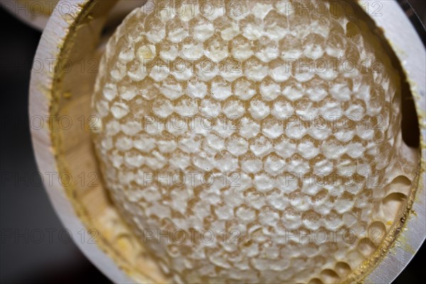 Sweet fresh honey in the sealed comb frame