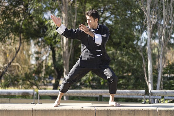 Young man practicing Kung Fu in the park