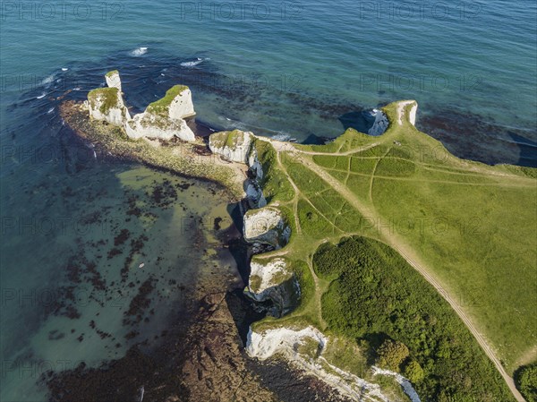 Aerial view of the chalk coast Old Harry Rocks