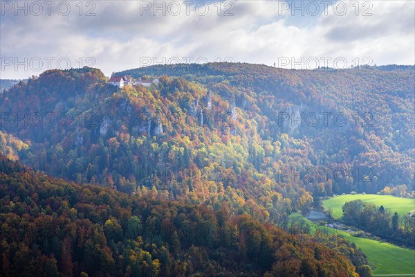 Wildenstein Castle