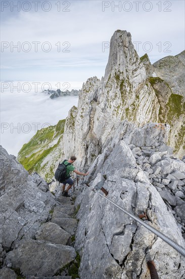 Mountaineer on the Lisengrat