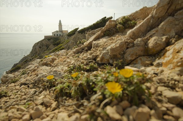 Cala Ratjada