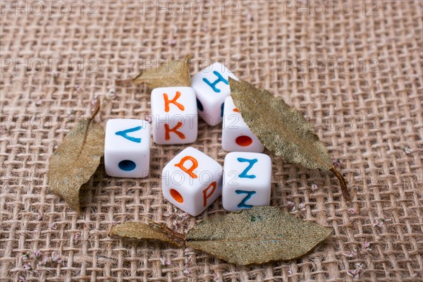 Colorful alphabet letter cubes and leaves on a linen canvas