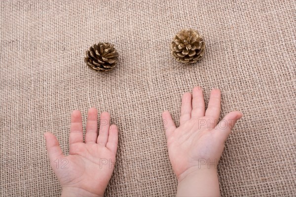Pine cones beisde toddlers hands on a canvas background