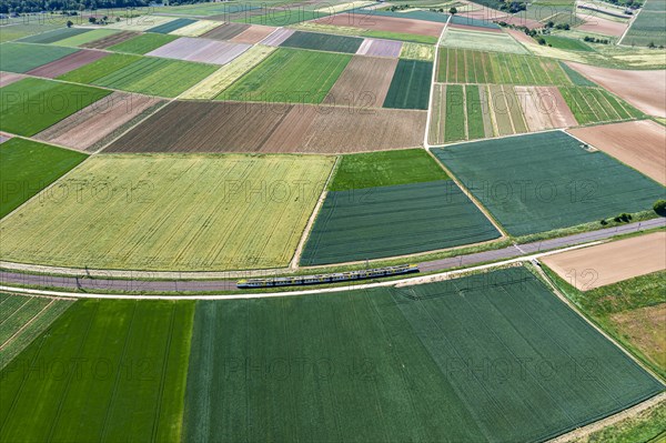 Landscape at the Neckar loop