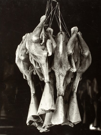 Slaughtered ducks hanging in a Chinese restaurant in New York