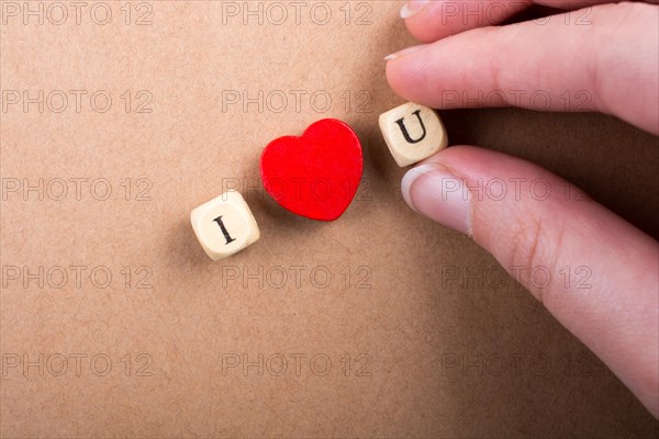 Phrase I Love You Made from Letter Cubes in in hand