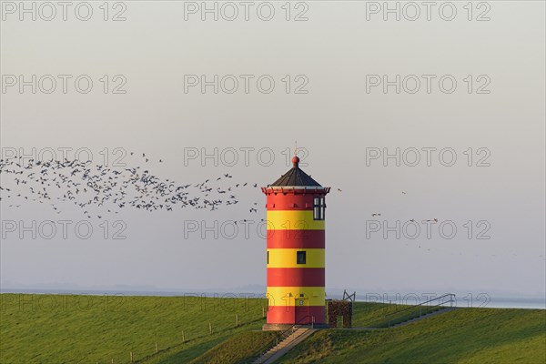 Pilsum lighthouse in the morning light