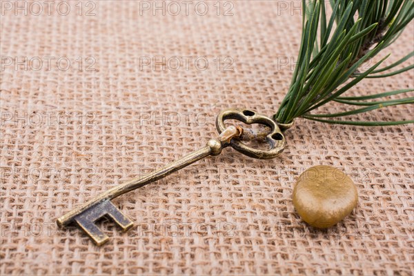 Plenty of Retro styled golden color keys
