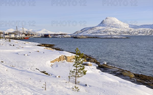 Coastal Landscape