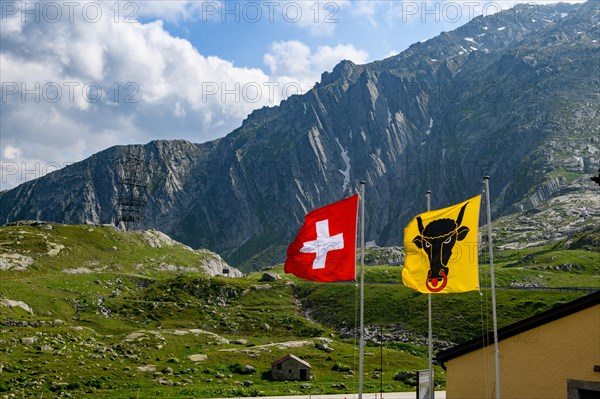 Left Swiss national flag National flag with Swiss cross Right flag Flag of Canton Uri with bull's head Head of bull with nose ring