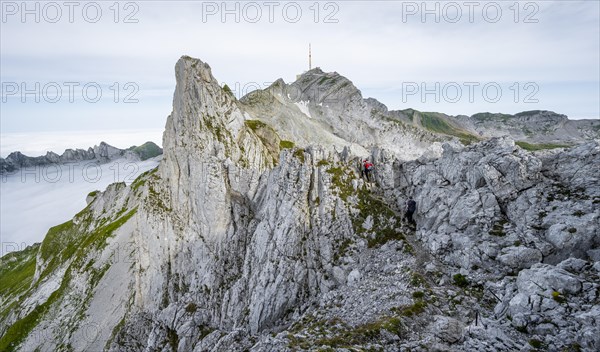 Mountaineer on the Lisengrat