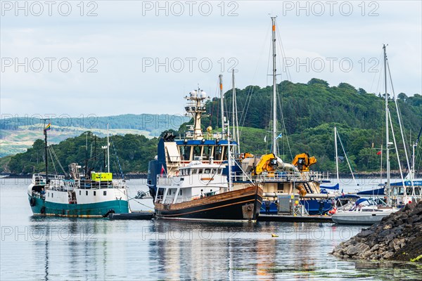 Boats in Tobermory