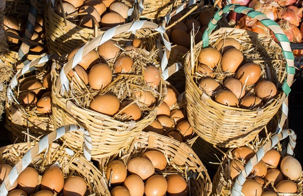 Organic fresh farm eggs in the straw basket