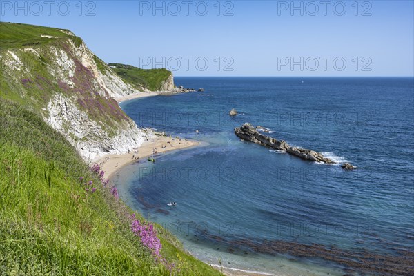 Man O'war Bay on the Jurassic Coast near Durdledoor