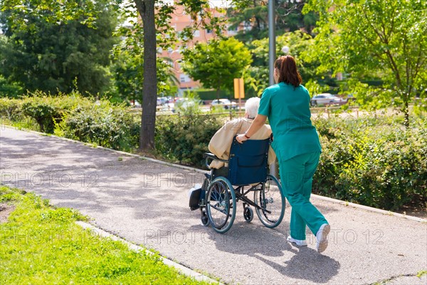 An elderly woman with the nurse on a walk in the garden of a nursing home in a wheelchair