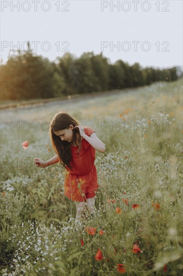 Girl in a red dress in a poppy meadow