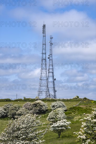 Transmitting radio masts on the North Downs at Reigate Hill Surrey