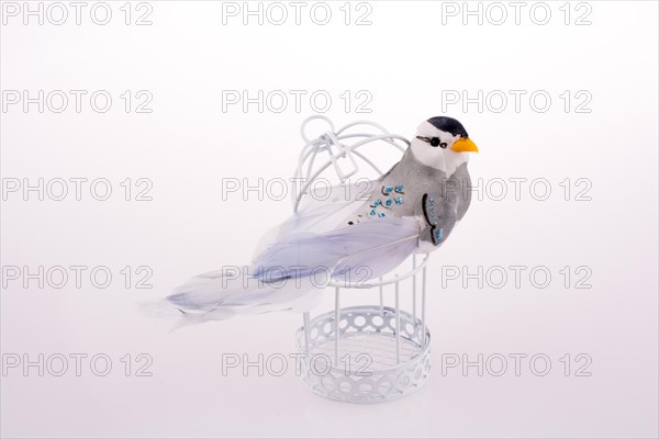 Bird in a birdcage