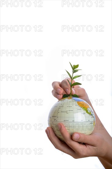 Hand holding a tree seedling on globe in hand on white background