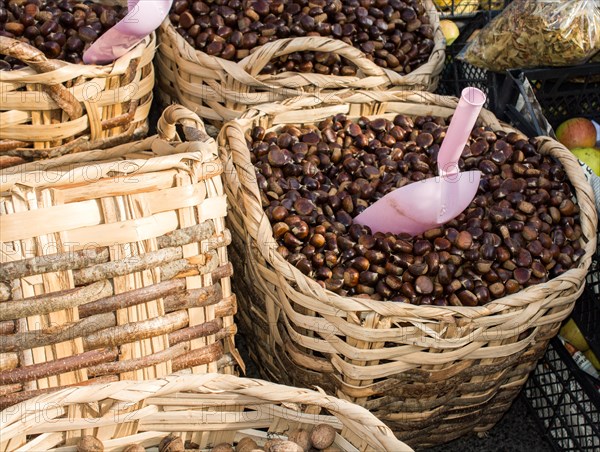 Raw fresh sweet chestnut for ready for sale