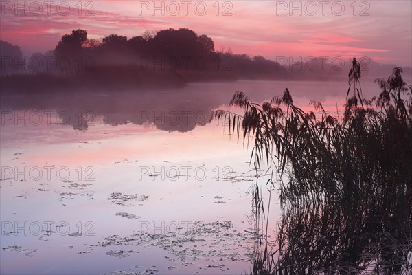 Autumn in the floodplain