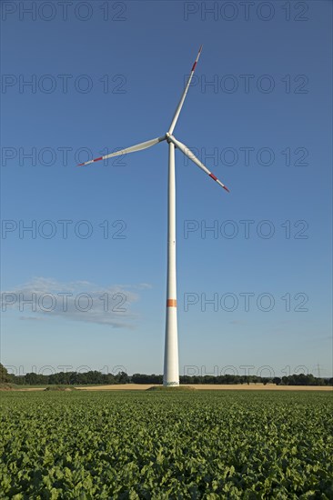 Wind power plant