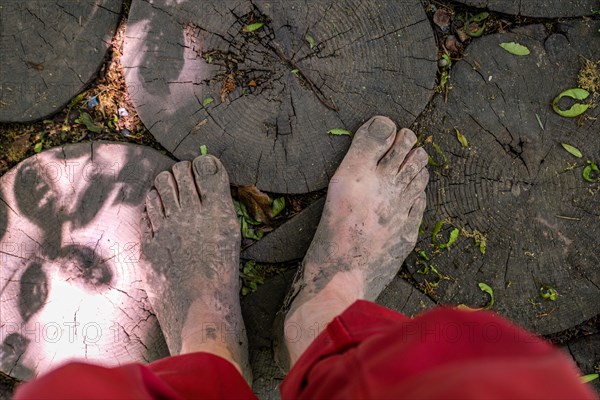 Feet of a man on tree discs on the Wuppenau barefoot path on Nollen