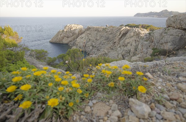 Cala Ratjada