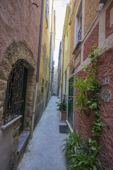 Narrow alley in the old town