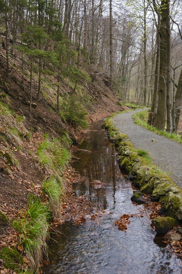 Path through the Radau Valley