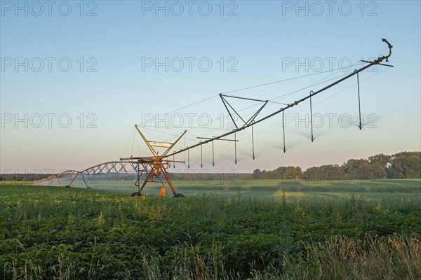 Field irrigation