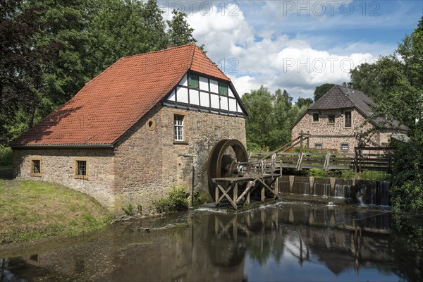 Water mill at Brake Castle near Lemgo Germany