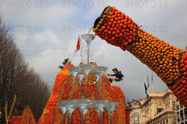 Representation of the Champagne region with lemons and oranges