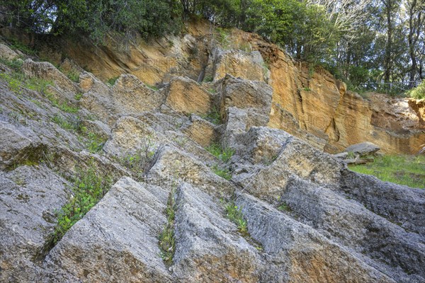 Etruscan quarry at the necropolis la Cava del Tufo