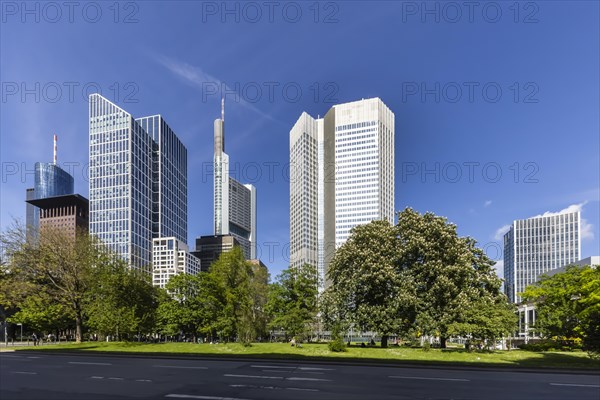 City view with Eurotower