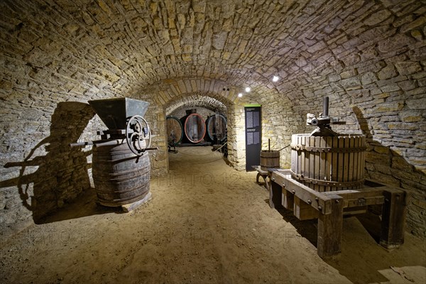 Wine museum