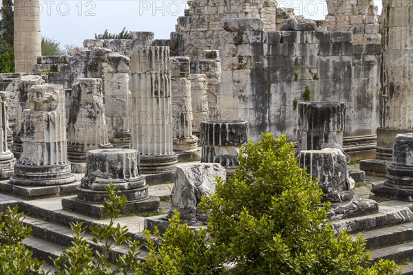 Temple of Apollo