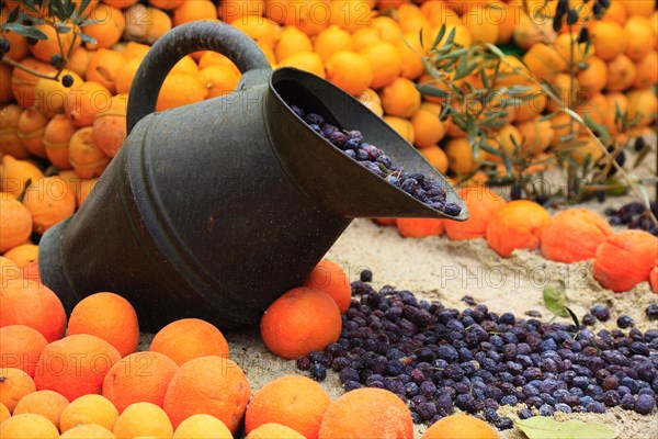 Pitcher of olives surrounded by lemons and oranges