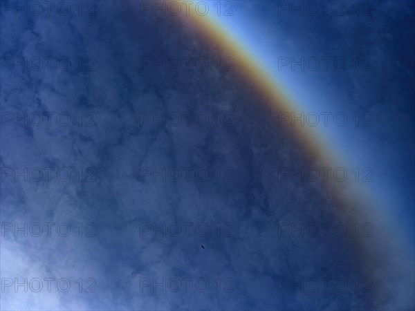 Detail of a sun halo with clouds in the sky and a flying crane