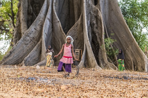 Children in front of the large board roots of a huge kapok tree