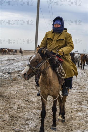 Horse herders near Aralsk